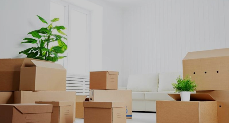 Destralhe antes da mudança